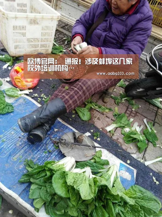 abg欧博官网