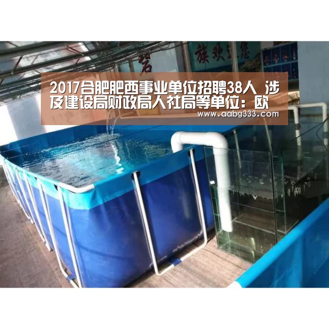 abg欧博官网